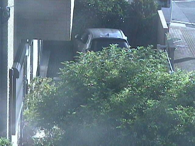 Still Image